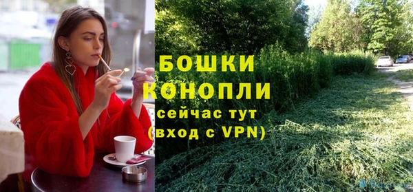 ГАЛЛЮЦИНОГЕННЫЕ ГРИБЫ Верхний Тагил