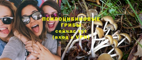 дмт Верея