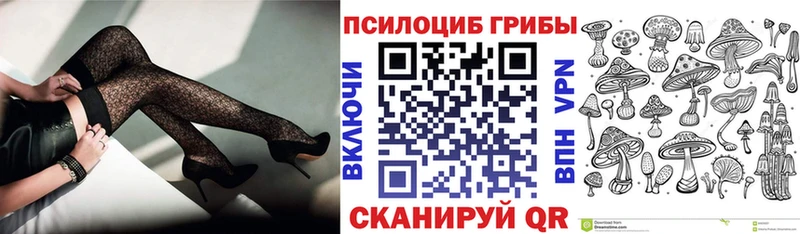 закладки  Новосокольники  Псилоцибиновые грибы Magic Shrooms 