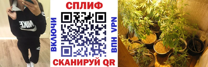 Бошки марихуана планчик  Новосокольники 